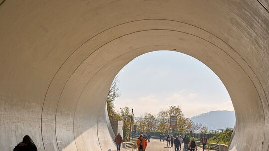 B42-Hochbrücke bei Lahnstein wieder frei