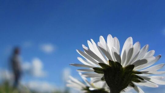Gutes Wetter