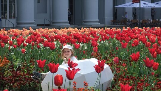 Das pralle Leben im Blumenmeer: Julia (5) vor dem Schloss.