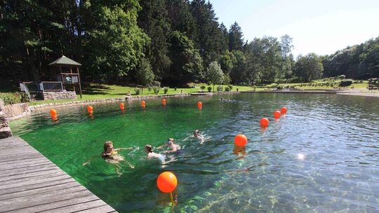Die Linderhohl in Höhr-Grenzhausen: Baden im Naturteich