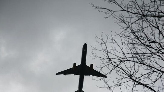 Flugzeug über Bäumen Flugzeug über Bäumen