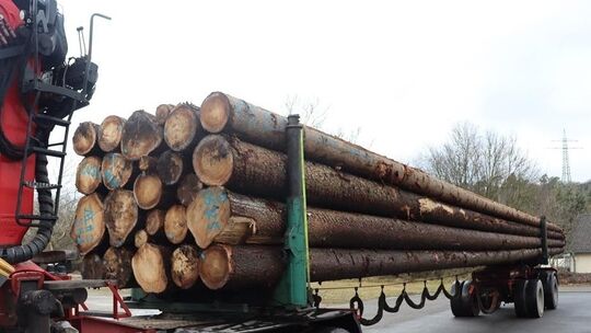 Holztransport Holztransport