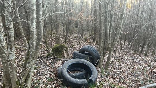 Illegal entsorgte Altreifen in einem Waldgebiet nahe der Ortslage Hoxel. Illegal entsorgte Altreifen in einem Waldgebiet nahe der Ortslage Hoxel.