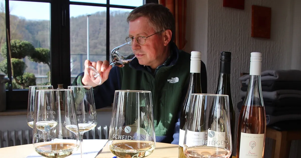 Hammersteiner Winzer: Trend null Promille: So entsteht alkoholfreier ... Hammersteiner Winzer: Trend null Promille: So entsteht alkoholfreier ...