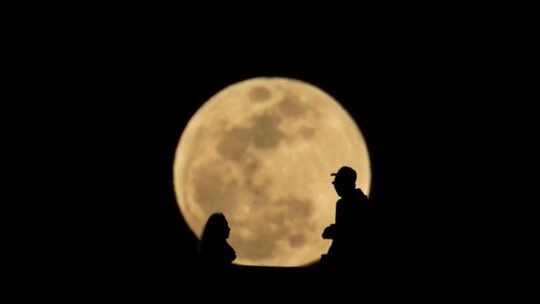 Looking in the moon
