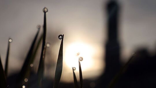Sonniger Morgen in Bayern