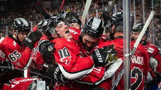 Kölner Haie - ERC Ingolstadt