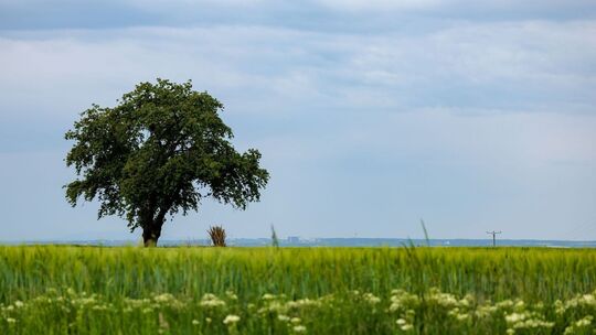Meteorologen rechnen mit Wetterumschwung