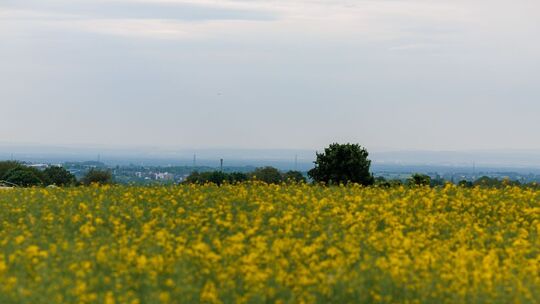 Meteorologen rechnen mit Wetterumschwung