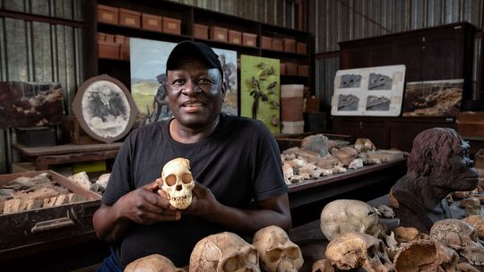 Fossiltechniker Andrew Phaswana im Gusslabor