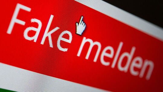 «Fake melden» steht auf dem Button einer Website