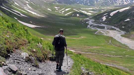 Blick auf die Greina