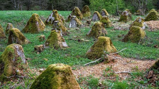 Spuren des Zweiten Weltkriegs in Rheinland-Pfalz