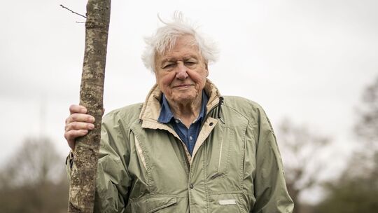 Sir David Attenborough