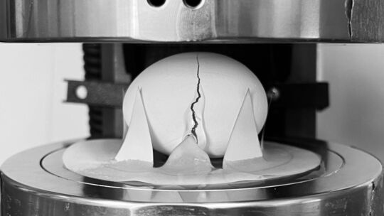 Forscher haben Zerbrechlichkeit von Eiern untersucht Forscher haben Zerbrechlichkeit von Eiern untersucht