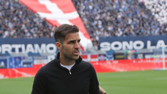 Trainer Fabregas