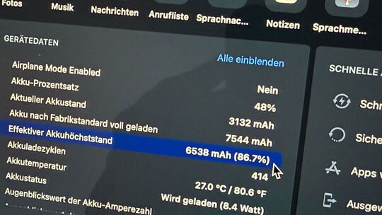 iPad-Gerätedaten zum Akkuzustand