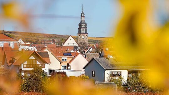 Kallstadt