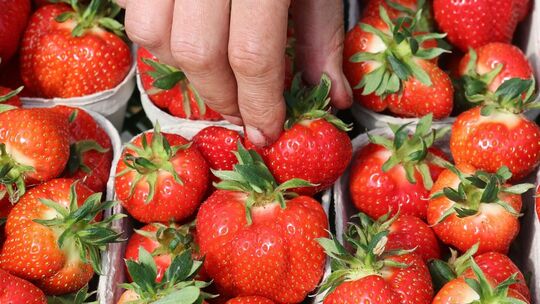 Umfrage zu Früchten und Beeren