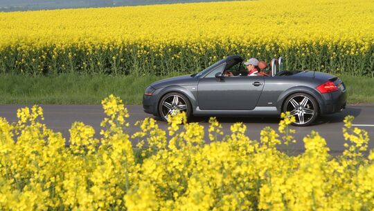 Eine Frau fährt mit einem Cabrio