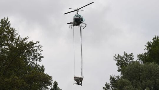 Das Wetter war zuletzt für den Kampf gegen Stechmücken zu trocken
