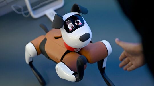 Humanoide Roboter in China