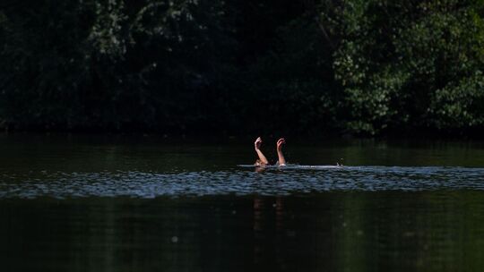 Eine Schwimmerin streckt die Hände aus dem Wasser