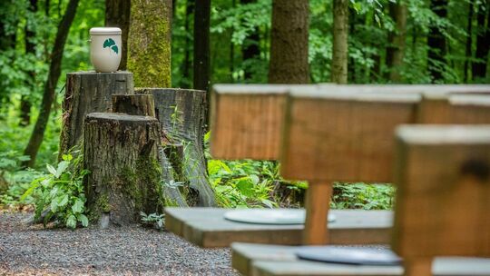 Andachtsplatz im FriedWald mit einer Urne auf einem Baumstumpf, umgeben von Bäumen und Holzbänken im Vordergrund.