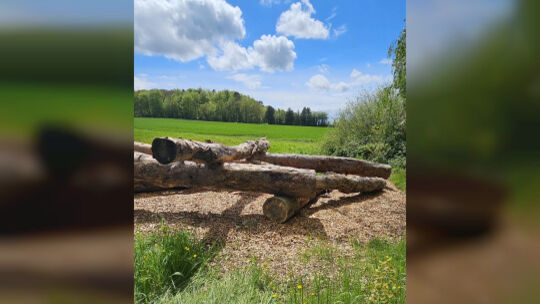 Mehrere auf Holzschnitzeln liegende Baumstämme als Balanceelemente auf einer Lichtung am Waldrand, mit Blick auf eine grüne Wies