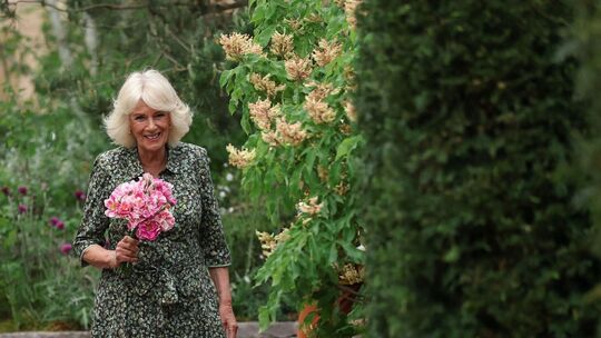 Chelsea Flower Show