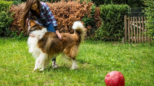 Eine Frau spielt mit einem Hund in einem Garten