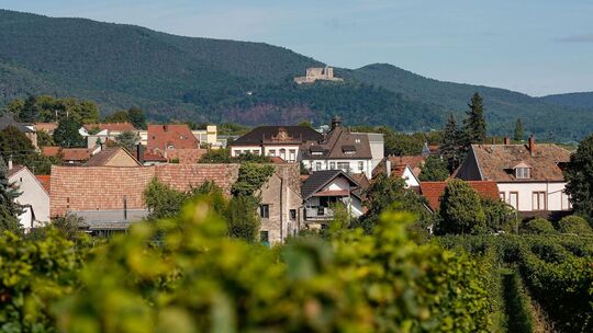 Neustadt an der Weinstraße will eine gute Gastgeberin sein.