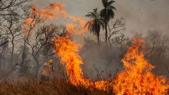 Indigene Feuerwehrleute kämpfen in Brasilien um ihr Territorium