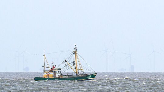EU-Gericht urteilt über Fangverbote in der Nordsee