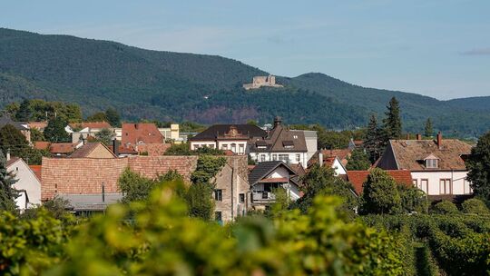 Neustadt an der Weinstraße