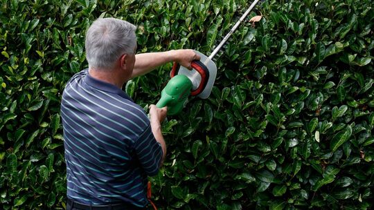 Mann schneidet eine Hecke