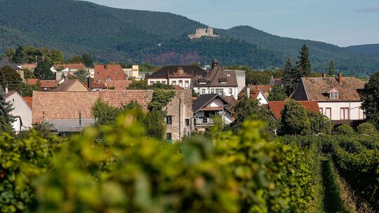 Neustadt an der Weinstraße
