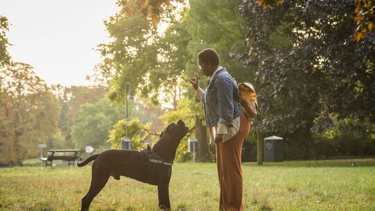 Eine Frau ist mit ihrem Hund im Park