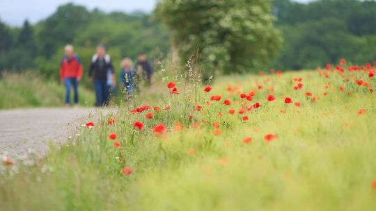 Christi Himmelfahrt und Vatertag - Rheinland-Pfalz