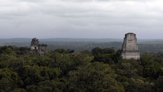 Fast 3.000 Jahre alte Maya-Stätte in Guatemala entdeckt