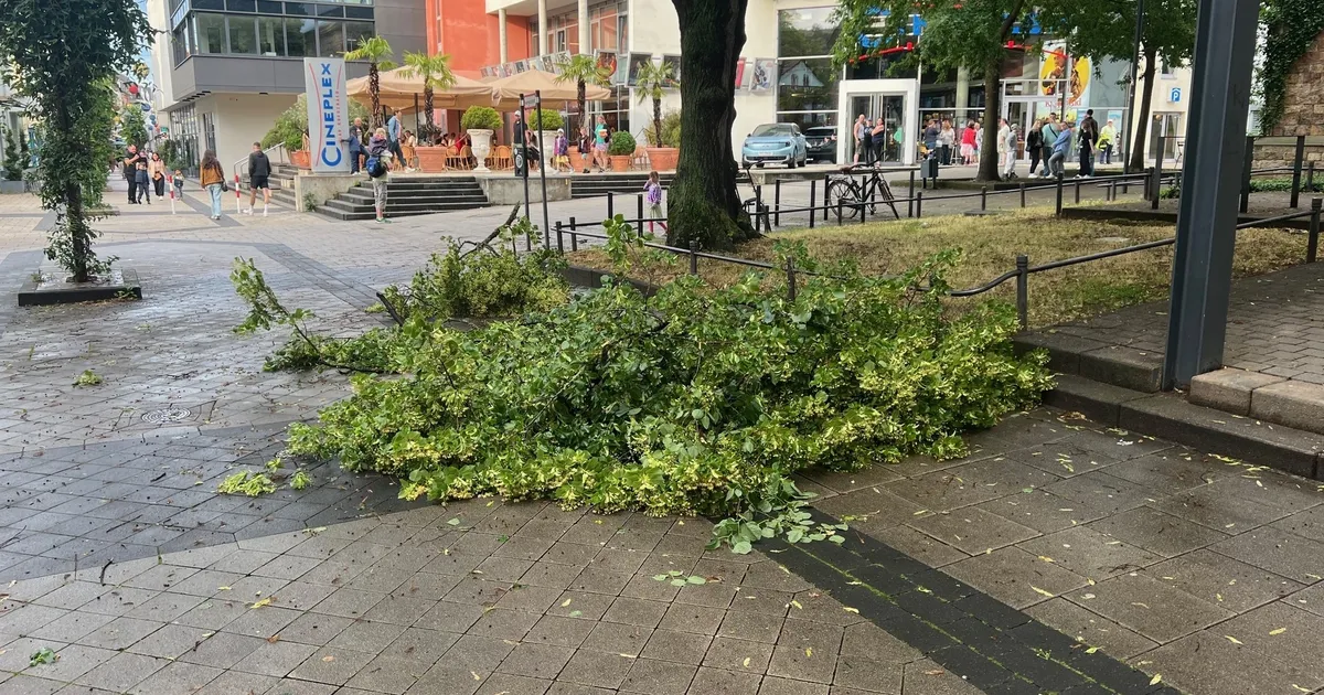 Feuerwehr Bad Kreuznach: Unwettereinsätze: Wassermassen und umgestürzte ...