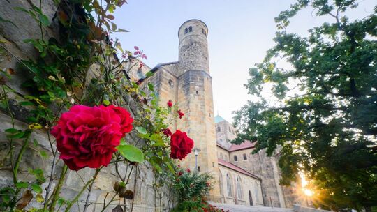 Unesco-Weltkulturerbe in Hildesheim