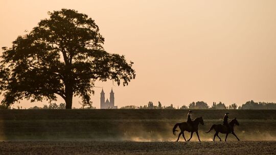 Sonnenuntergang
