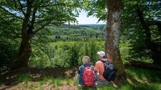 Nationalpark Hunsrück-Hochwald