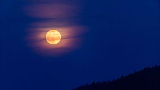 «Erdbeermond»