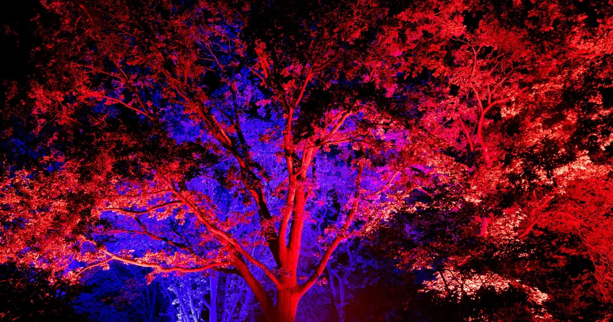 Plaidter Festival feiert 40.: Park erstrahlt zum „Pellenzer“ im ...