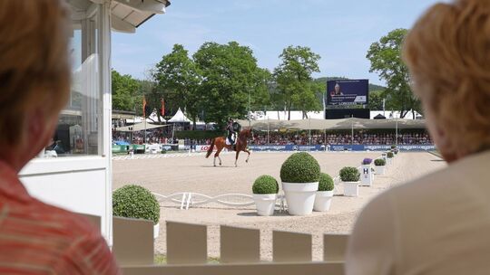 Pferdesport/Dressur: Deutsche Meisterschaft