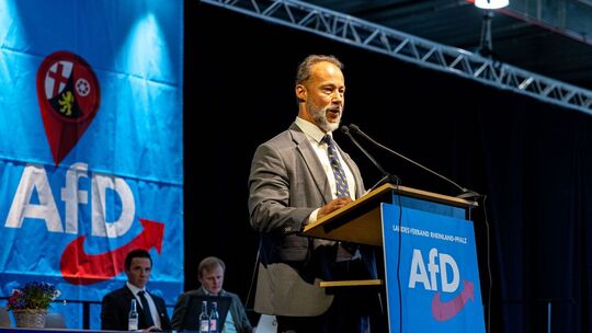 Landesparteitag AfD Rheinland-Pfalz
