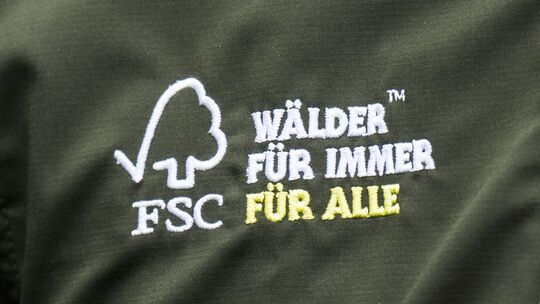 Auswirkung Klimawandel auf den Wald