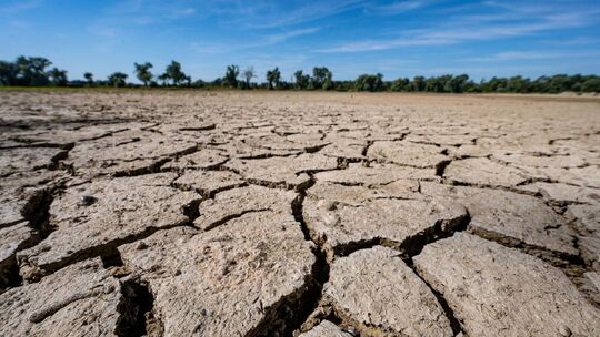 Klimawandel